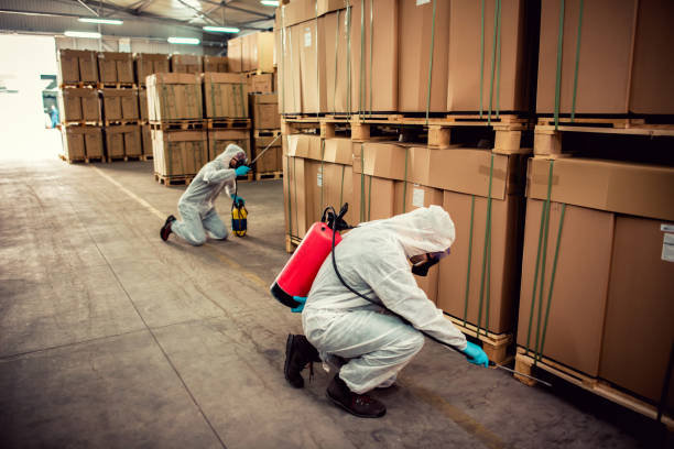 Best Termite Control Services  in Deming, NM