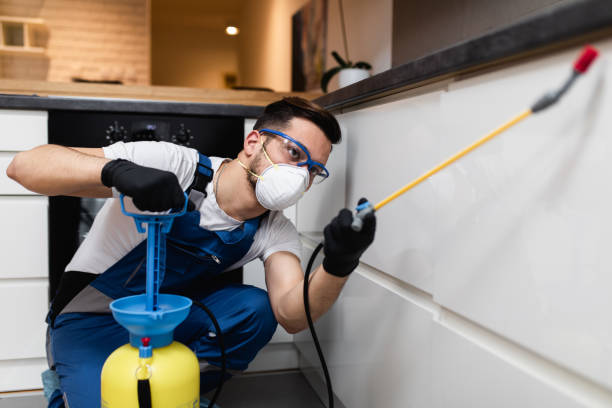 Best Mosquito Control Services  in Deming, NM