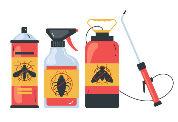 Best Affordable Pest Control Services  in Deming, NM