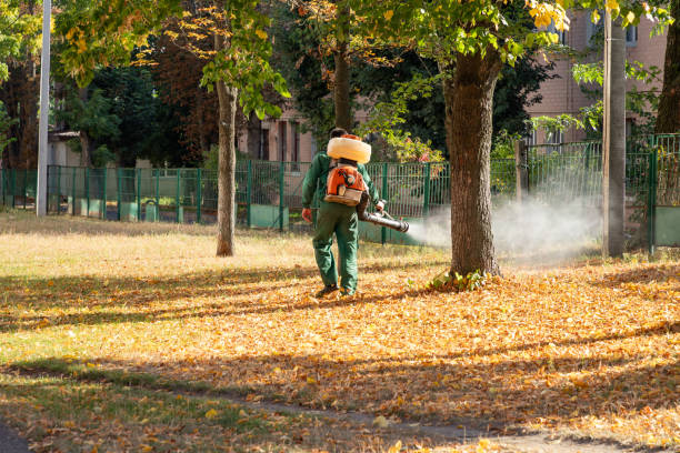 Best Best Pest Control Companies  in Deming, NM