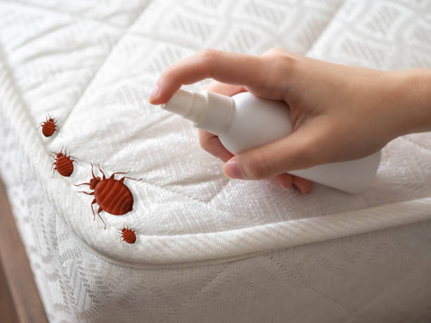 Best Pest Inspection Near Me  in Deming, NM