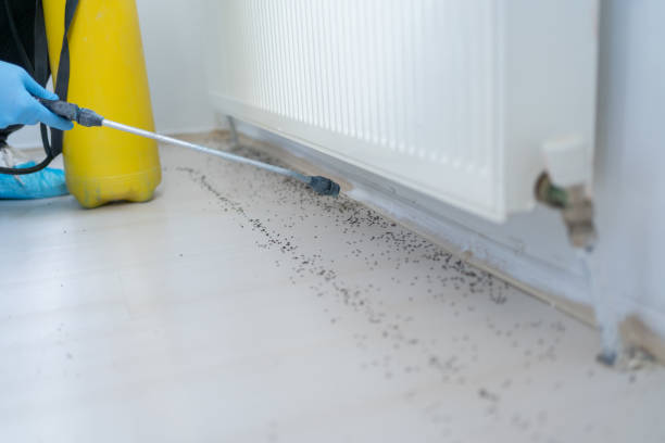 Best Pest Prevention Services  in Deming, NM