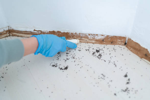 Best Commercial Pest Control Services  in Deming, NM